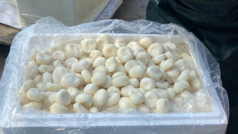 广西桂林荔浦水果马蹄泡沫箱加冰水打包让顾客更加放心购买