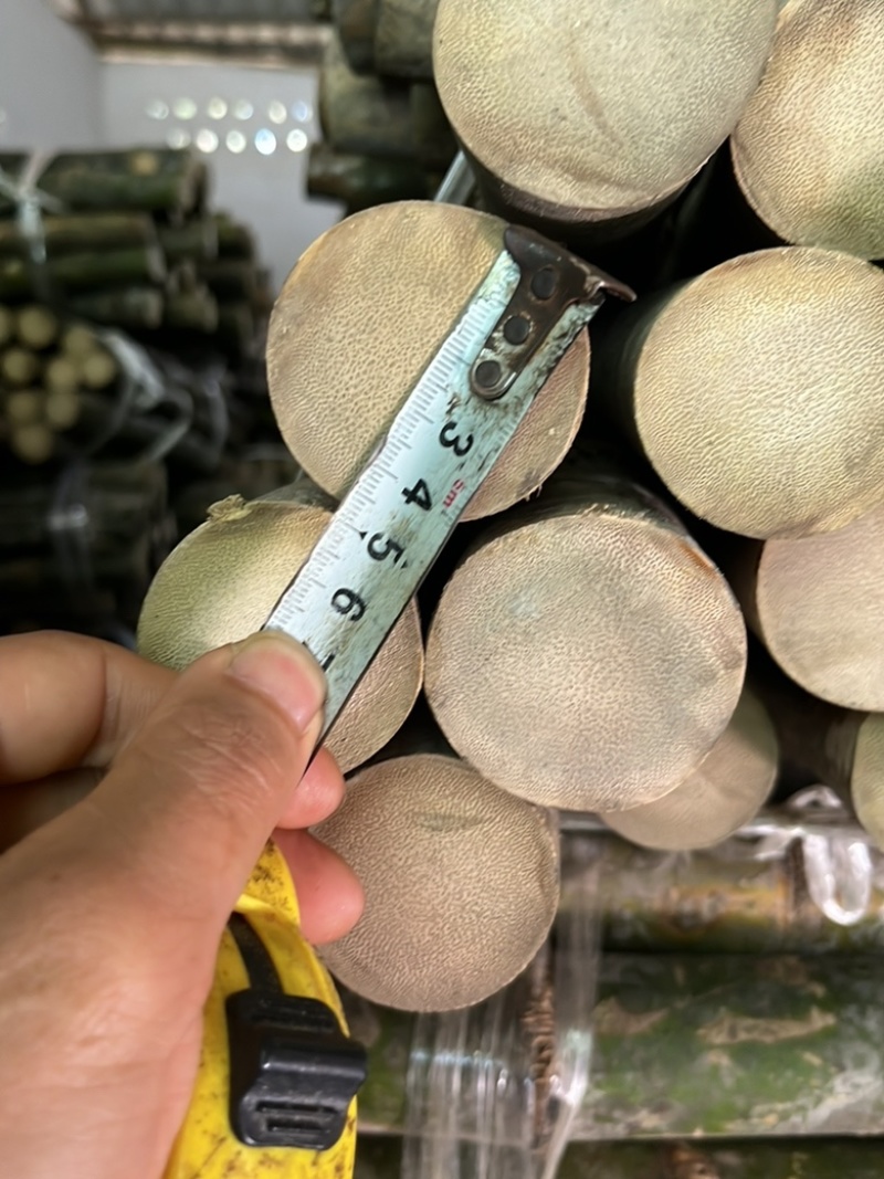实心竹龙血竹龙血金丝竹工艺原材料