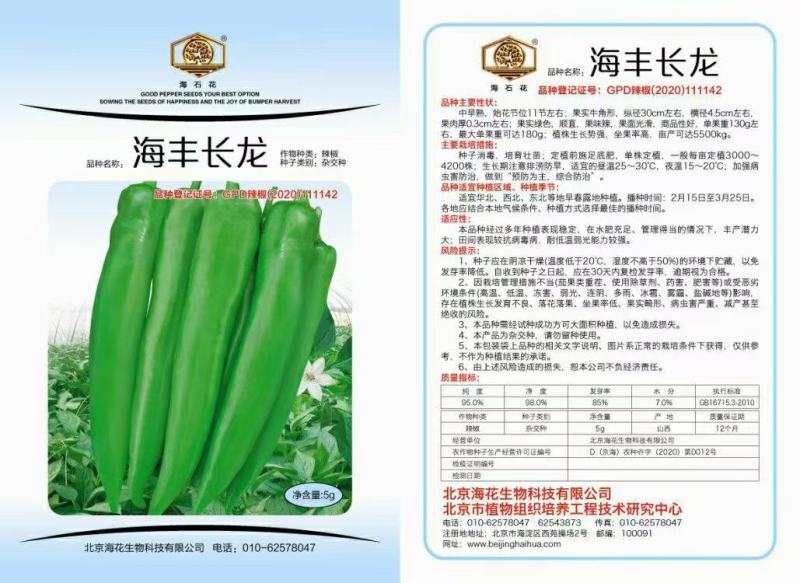 海丰大牛角椒品种果大顺直产量高抗病
