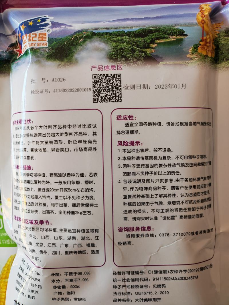 大叶荆芥种子叶片大香味浓生长速度快500g