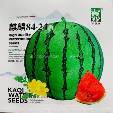 卡其小包装西瓜种子麒麟8424西瓜种籽冰糖麒麟西瓜种子