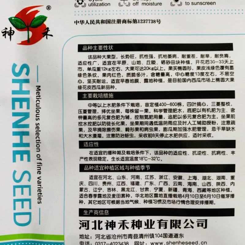 懒汉沙漠之星西瓜种子椭圆大果型耐重茬抗病硒砂瓜种子