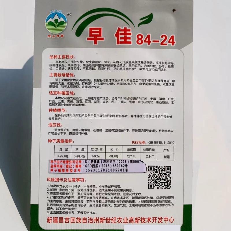 新疆早佳8424西瓜种子早熟西瓜一代杂交西瓜种籽商品性好