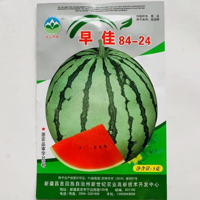 新疆早佳8424西瓜种子早熟西瓜一代杂交西瓜种籽商品性好