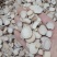 【白芍】新货无硫自产自销大货供应量大优惠规格齐全。