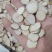 【白芍】无硫大选装自产自销大货供应规格齐全量大优惠。