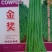 豇豆新品种油亮条长肉厚无鼓籽双荚翻花多产量高