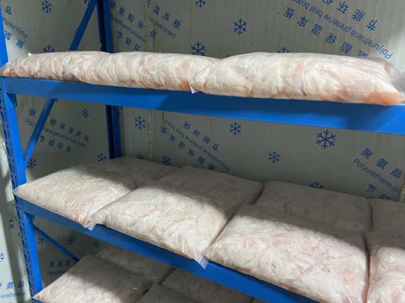 鲜鱼泡白鲢鱼鱼泡内泡鱼肚现货供应鲜鱼泡鱼肚