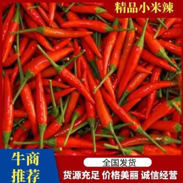 大量有货