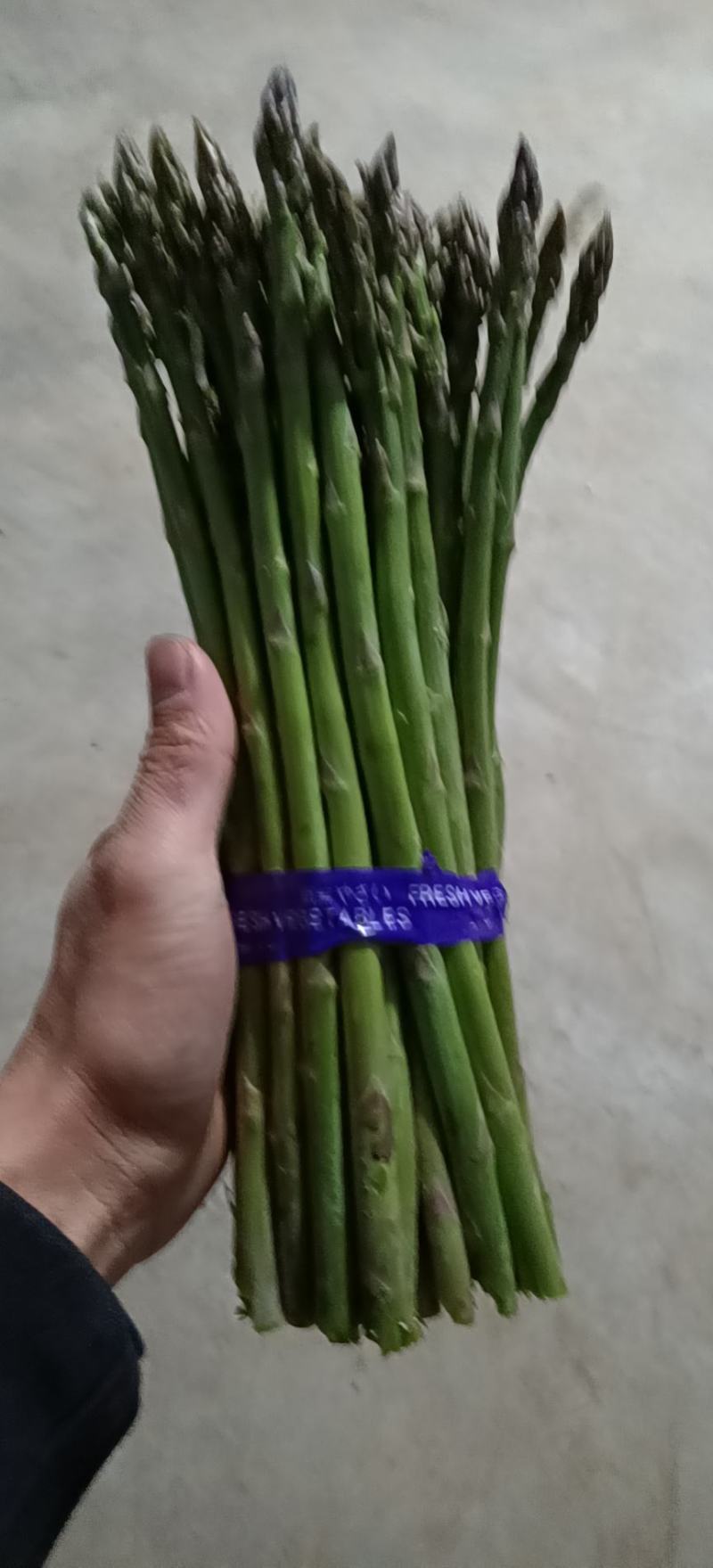 上海崇明绿芦笋基地直销