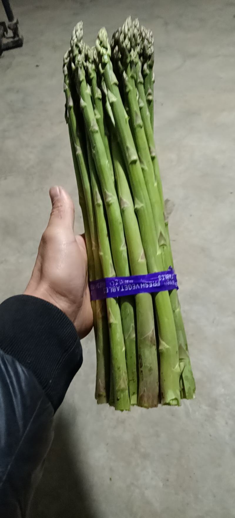 上海崇明绿芦笋基地直销
