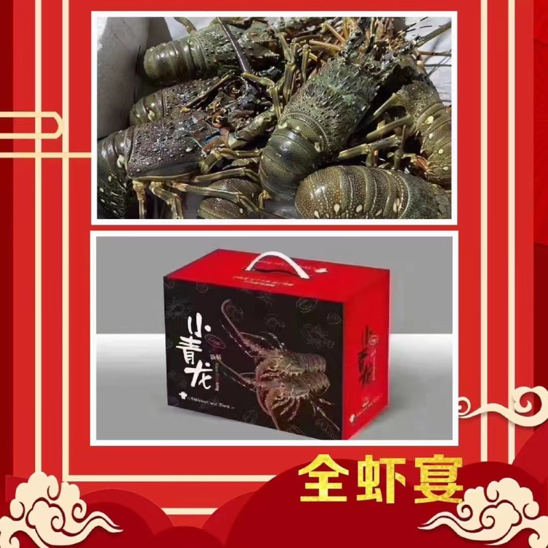 福建东山岛小青龙活冻批发电商代发零售批发