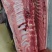 蓝鳍金枪鱼，北方蓝鳍金枪鱼120~800斤规格