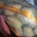 内蒙土豆v7土豆沃土西森黄心土豆