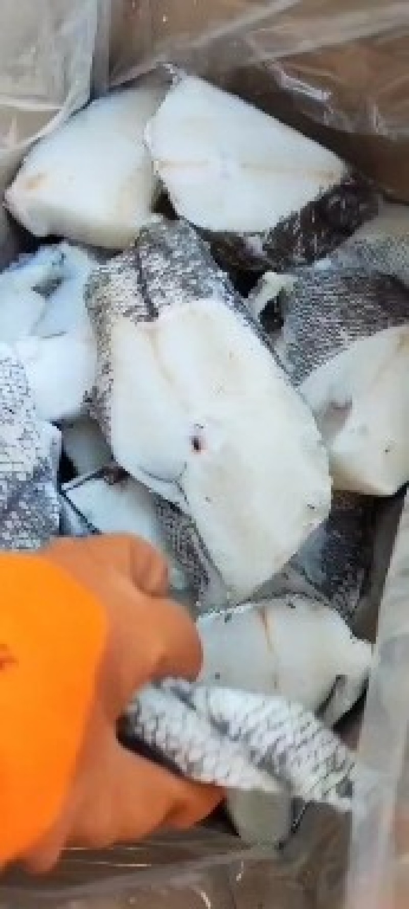 纯干鳕鱼片全规格