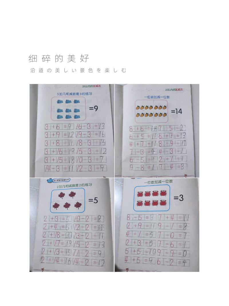 黑草莓苗，黑珍珠草莓苗口感香甜水分足，