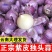 云南大理弥渡红皮独头蒜2025年冷库蒜大量上市代办代收
