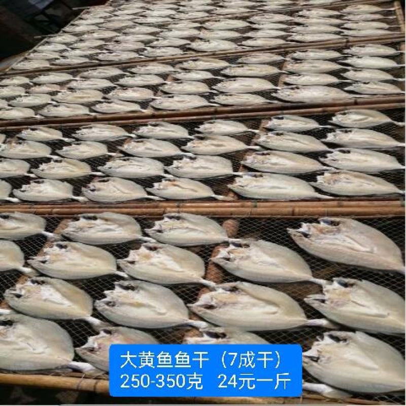 黄花鱼干/宁德大黄鱼鱼干/单条真空包装/