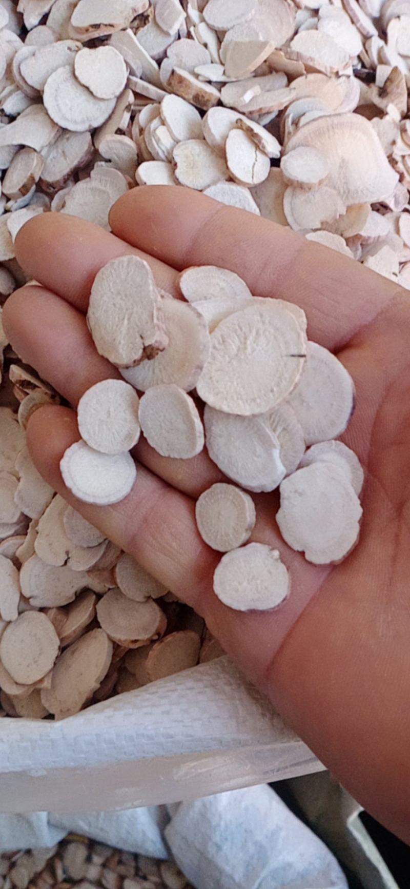 精品白芍片.产地自销大货供应量大优惠规格齐全。