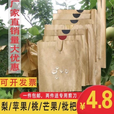 梨袋三层皇冠梨袋双层晚秋袋水果袋等可以定制各种水果袋