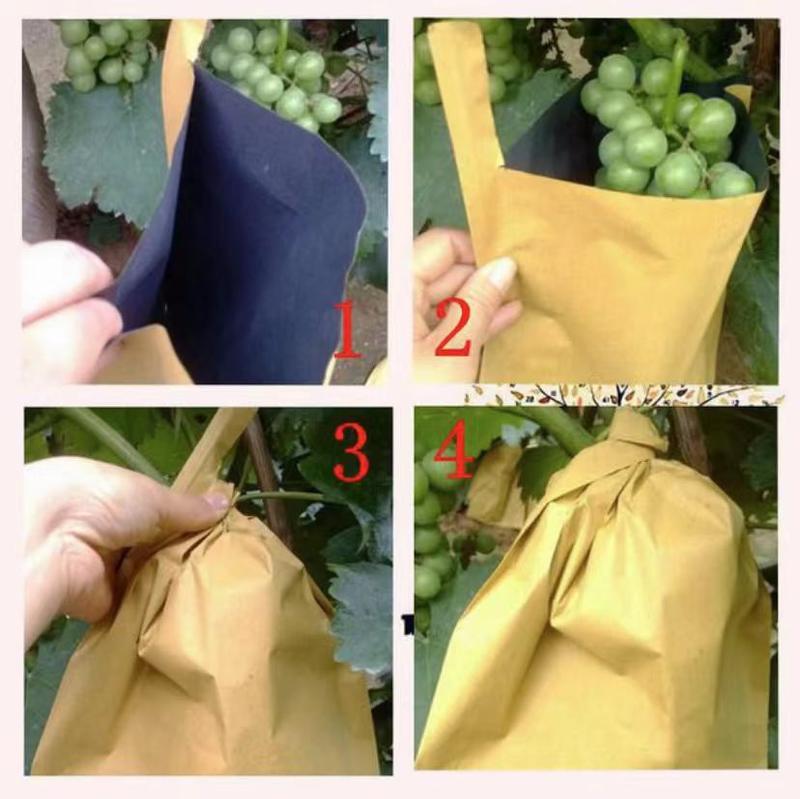 梨袋三层皇冠梨袋双层晚秋袋水果袋等可以定制各种水果袋