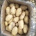 广东惠东土豆数万亩新鲜供应，