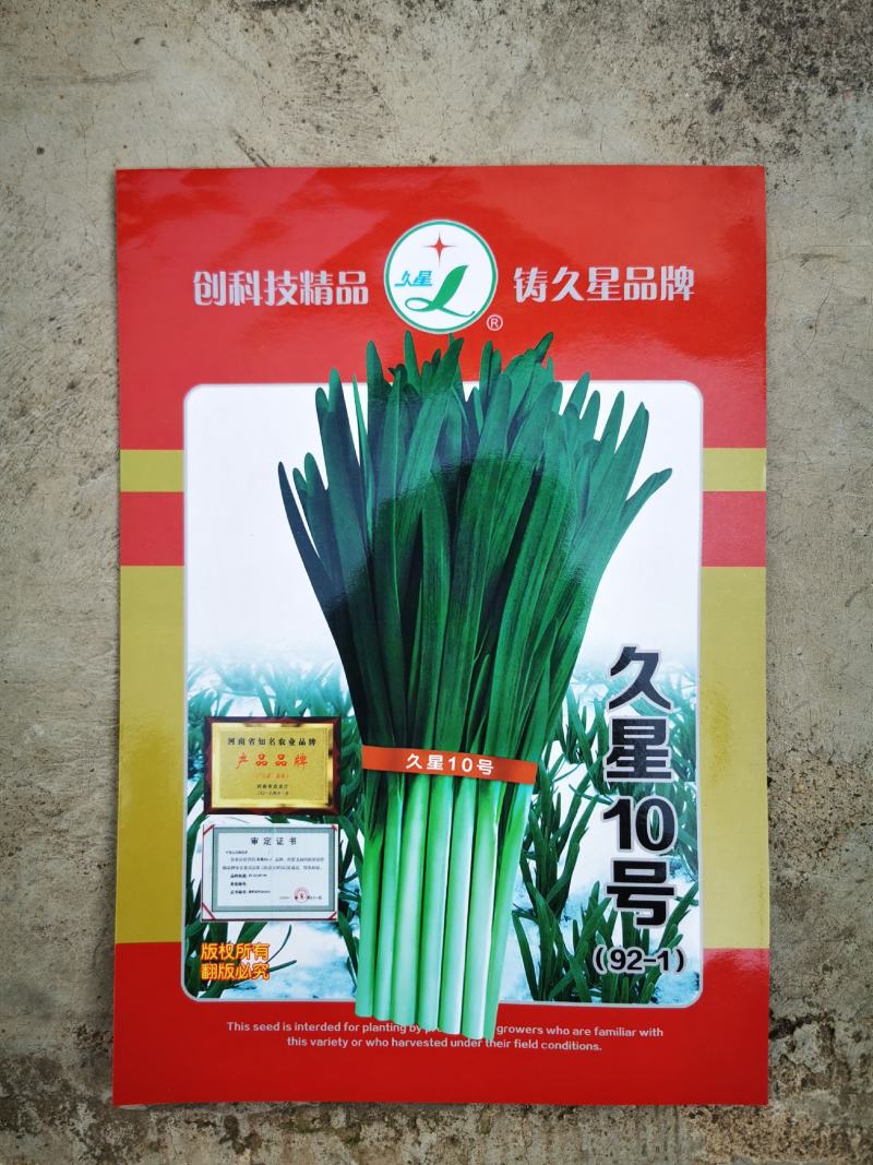 久星10号韭菜籽，抗寒不休眠，不易干尖，高产优质