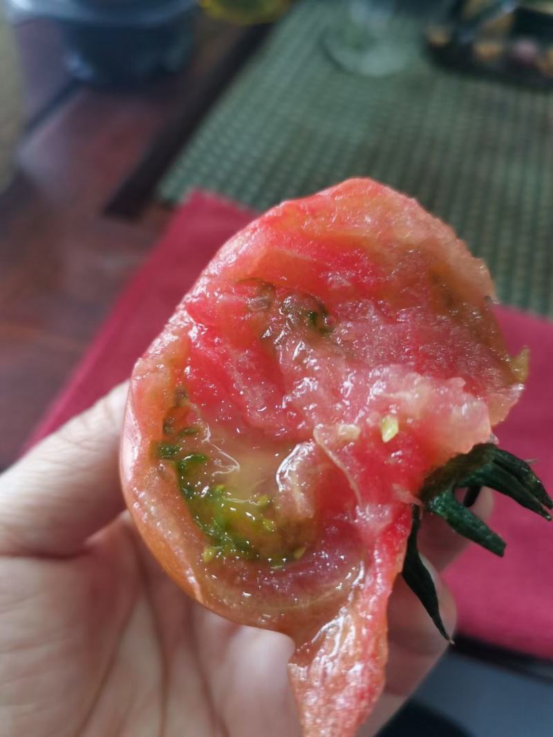 水果西红柿酸甜可口儿时味道铁皮草莓西红柿脆口