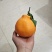 春见耙耙柑