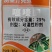 树荣介壳虫噻嗪酮噻嗪铜果树多肉花卉蚧壳虫飞虱小绿叶蝉杀