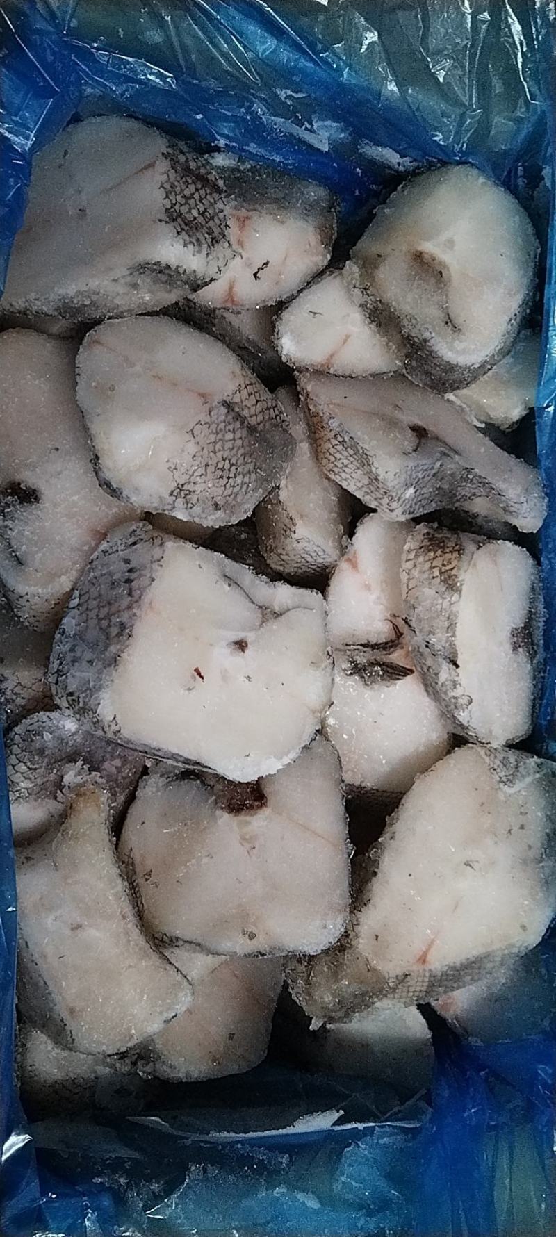 俄罗斯原装无冰鳕鱼块，营养价值高，厂家供应