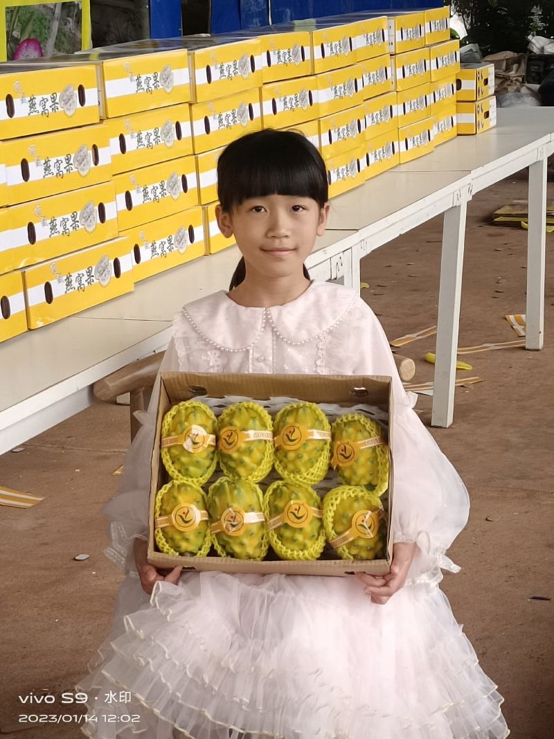 燕窝果