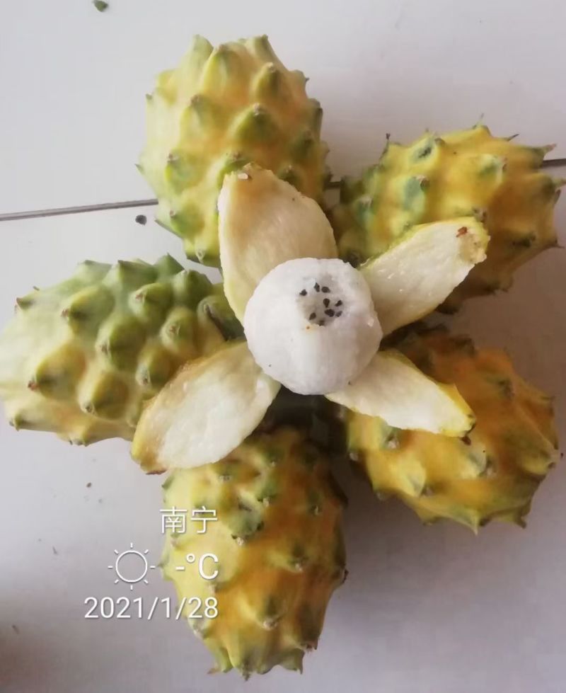 燕窝果