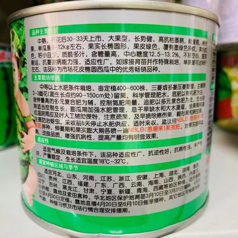 西农八号西瓜种子大果红瓤高产抗病耐重茬花皮西瓜种籽