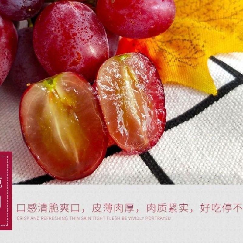 陕西精品红提个头大糖分足串行好甜度高耐运输有周转筐承接电