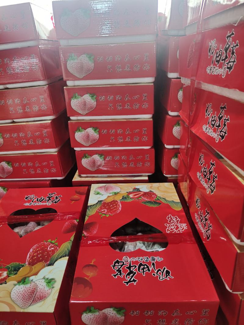 套袋草莓免洗草莓产地直供支持商超市场平台