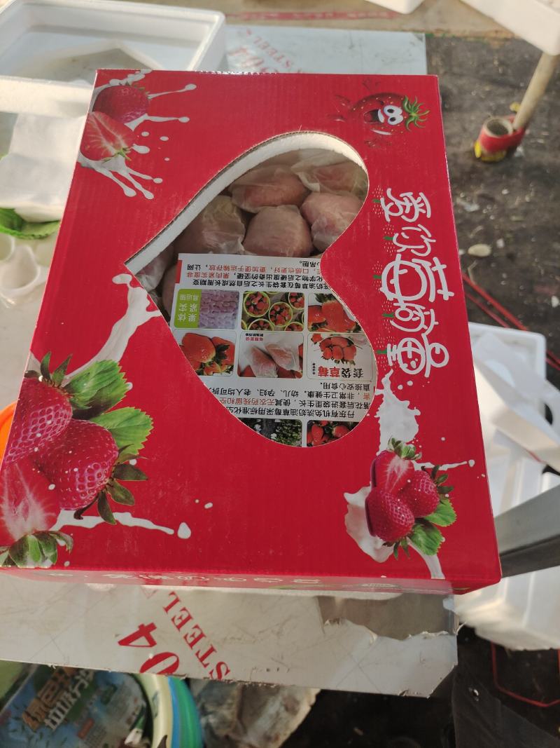 套袋草莓免洗草莓产地直供支持商超市场平台