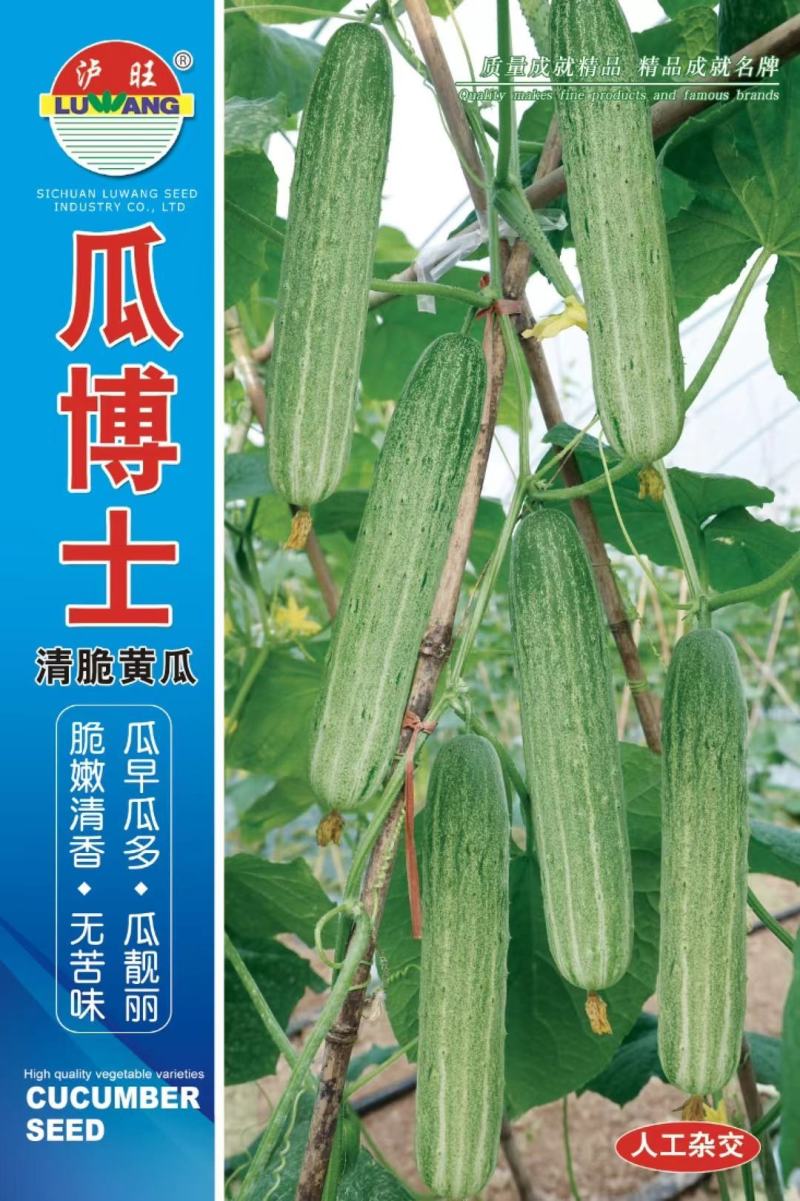 旱黄瓜种子英雄好悍无苦味嫩绿色脆甜强雌结瓜多早熟