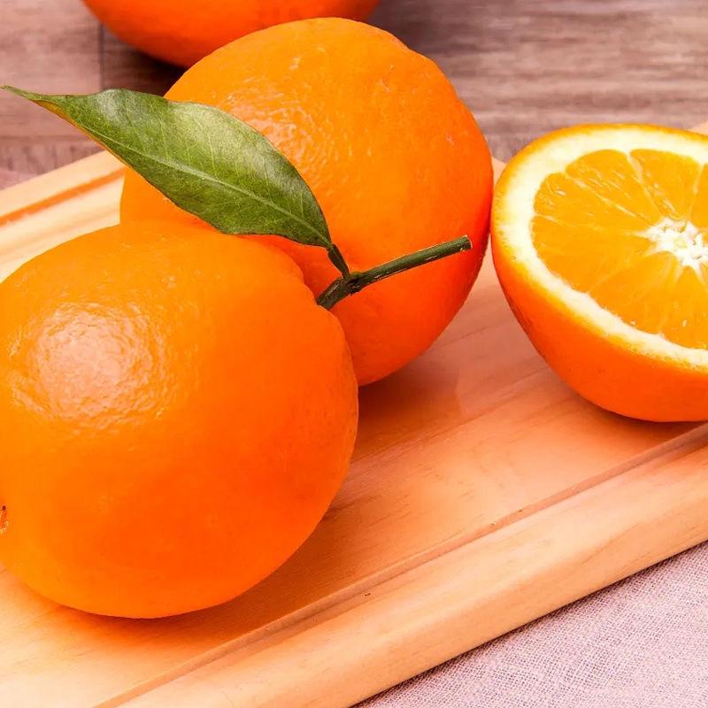 奉节脐橙二级精品新鲜现发批发欢迎咨询下单