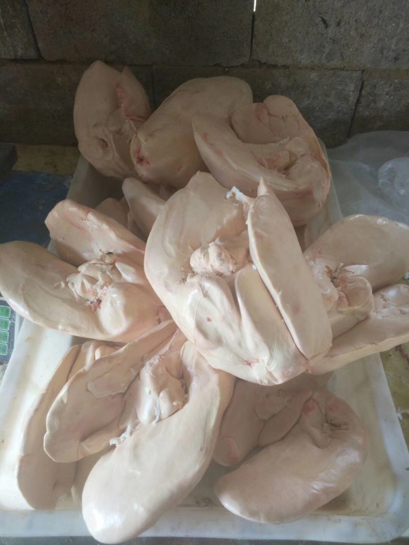 鹅肝，精品法式鹅肝，现杀现取，品质好，鲜度高。