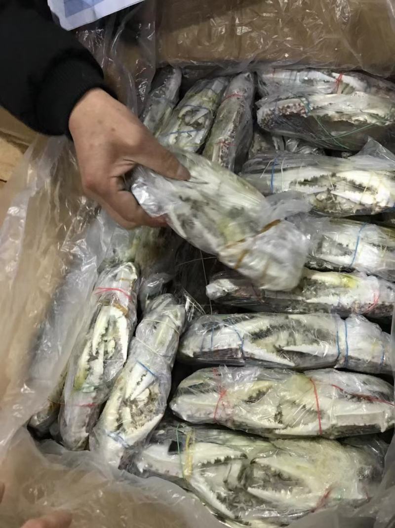 正蟹正蟹兰花蟹大螃蟹蟹大螃蟹螃蟹螃蟹