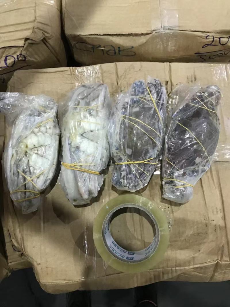 正蟹正蟹兰花蟹大螃蟹蟹大螃蟹螃蟹螃蟹