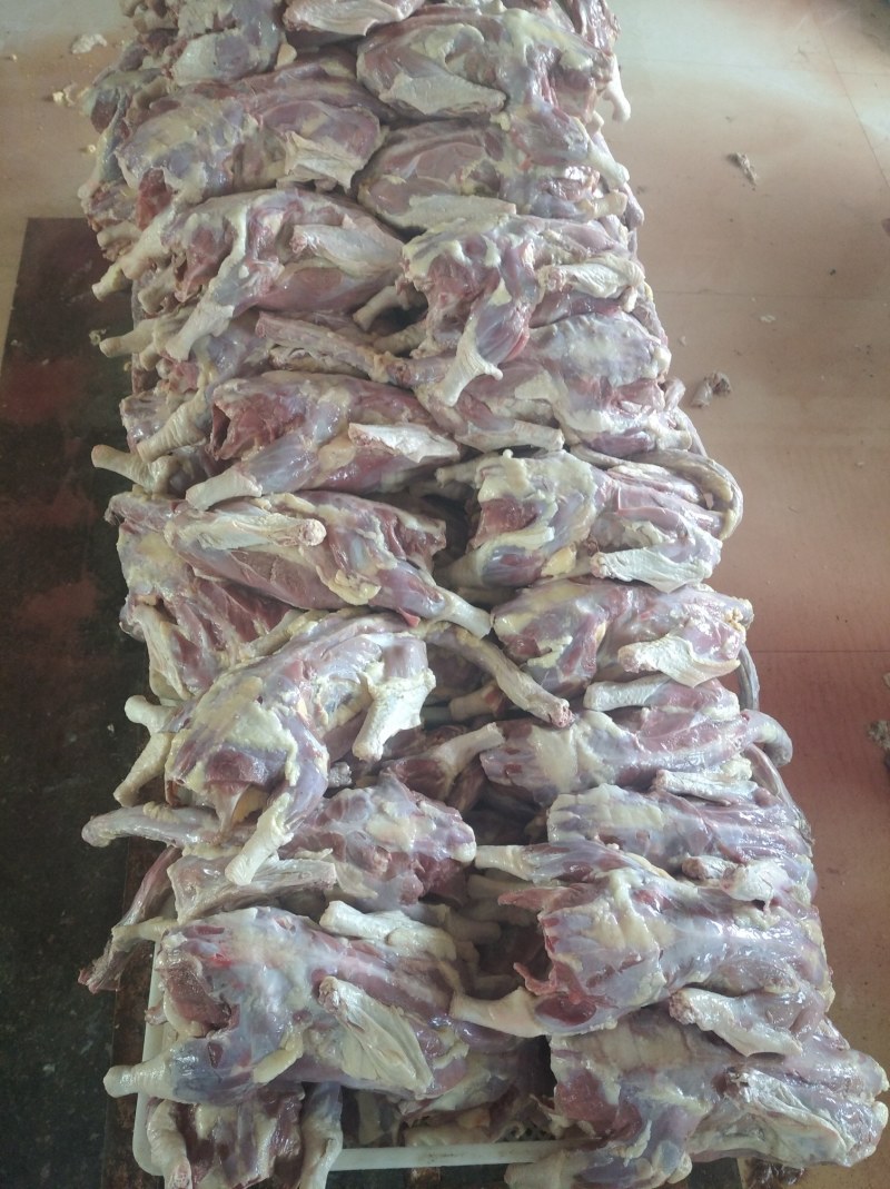 鹅肝，精品法式鹅肝，现杀现取，品质好，鲜度高。