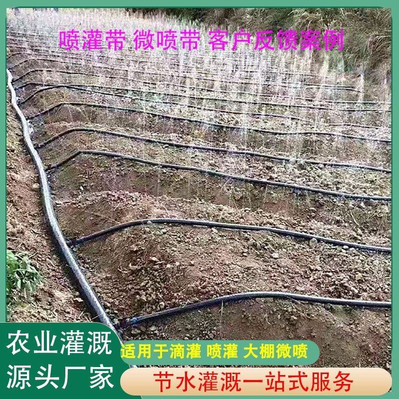 微喷带农用喷灌带3孔/5孔/7孔小麦果树大田微喷带