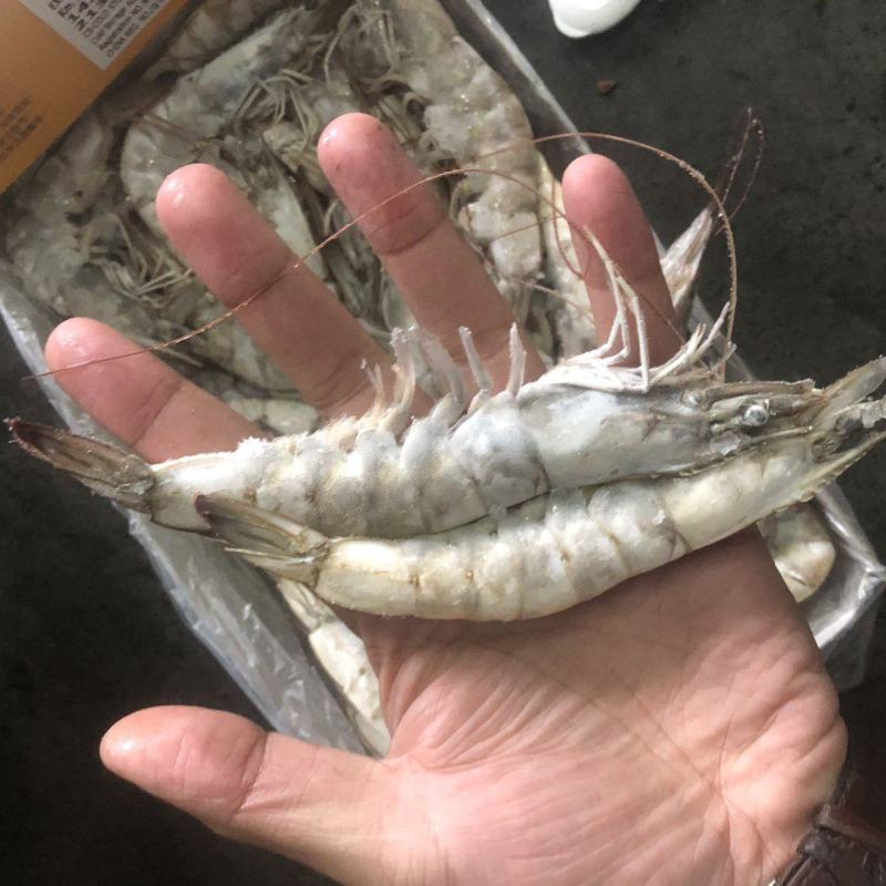 30/40大虾虾带壳虾冷冻虾