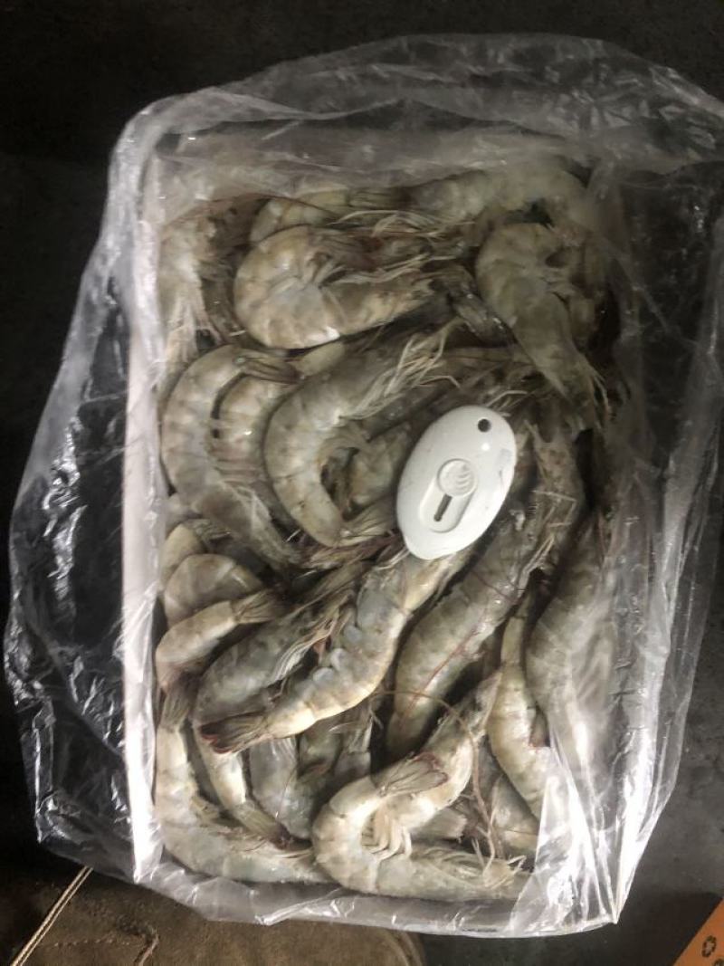 30/40大虾虾带壳虾冷冻虾
