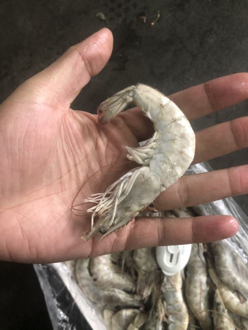 30/40大虾虾带壳虾冷冻虾