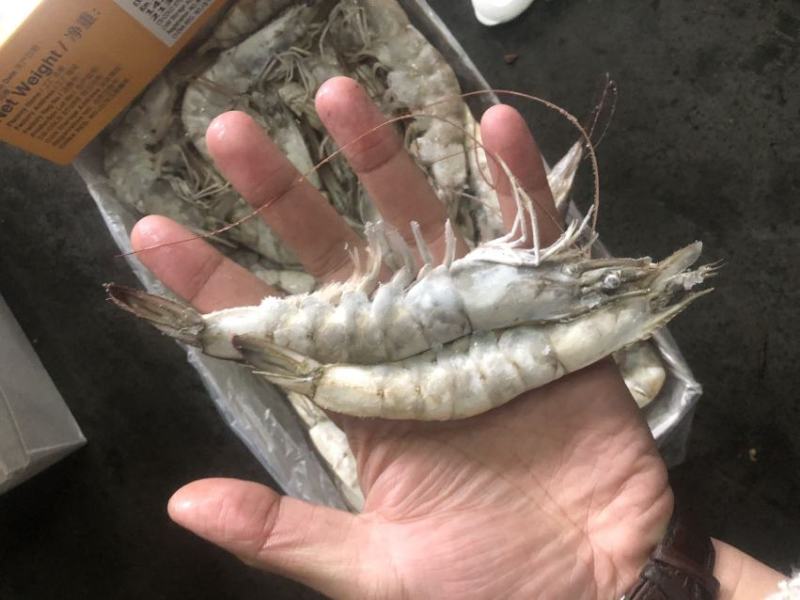 30/40大虾虾带壳虾冷冻虾