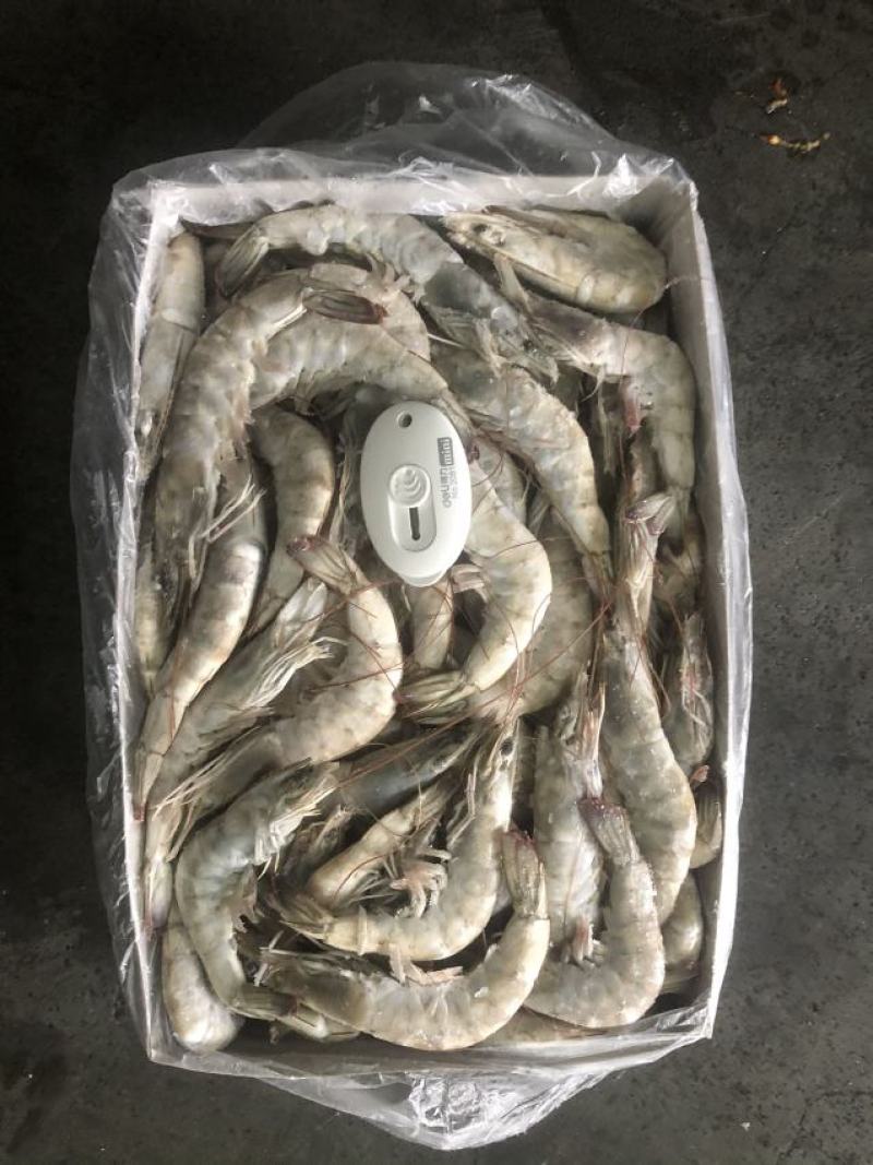 30/40大虾虾带壳虾冷冻虾