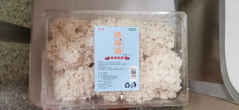 绣球菌